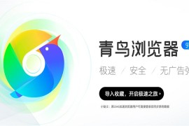 青鸟浏览器 v1.3.0.2497