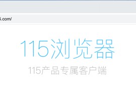 115浏览器 v27.0.1.6