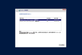 Windows Server 2019 简体中文版
