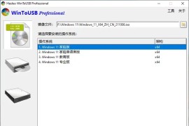 U盘安装系统工具 Hasleo WinToUSB v8.8