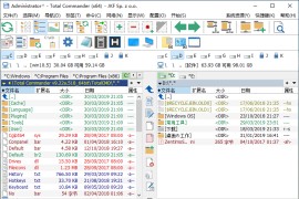 文件管理器 Total Commander v10.50 中文增强版