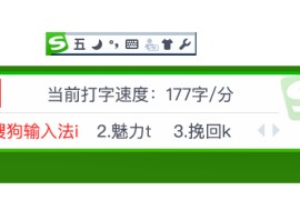 搜狗五笔输入法 v5.5.0.2585