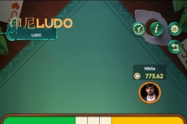 印尼棋牌游戏开发市场分析|印尼棋牌游戏开发
