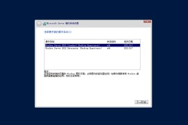 Windows Server 2022 简体中文版 2024.08