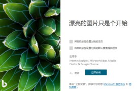 必应壁纸 Bing Wallpaper v2.0.0.6