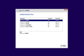 Windows 11 23H2 简体中文版 2024.08