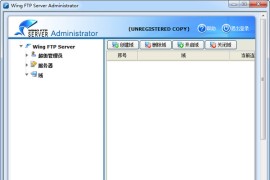 FTP服务器软件 Wing FTP Server v7.2.6