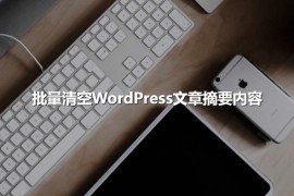 批量清空WordPress文章摘要内容