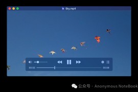 开源|美观|简洁|macOS媒体播放器IINAPlayer，功能强大到爆炸！非常值得一试