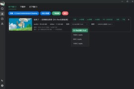 Bilidown(B站视频下载工具) v1.1.9 绿色版