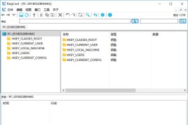 注册表编辑管理工具 RegCool v1.340