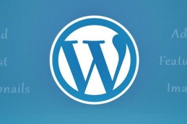 WordPress随机缩略图插件WP Random Post Thumbnails