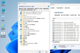 小修 Windows 11 Pro (22631.4602) 轻度精简 二合一 (2024.12.12)
