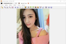 看图软件 XnView MP v1.6.2