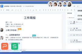 WPS Office 2019 专业增强版 v11.8.2.11739