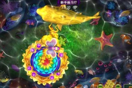 外国星力捕鱼平台，星力平台捕鱼技巧