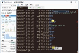 SSH工具客户端 FinalShell v3.9.6