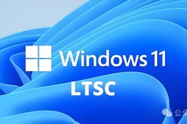 对于你们而言，LTSC可能是你们最优的选择