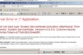 如何解决IIS报错 Could not load type 的问题